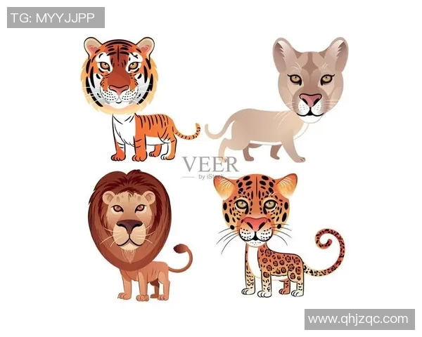 老虎与美洲豹的生存之争谁才是丛林之王的真正代表 老虎与美洲豹的生存之争谁才是丛林之王的真正代表