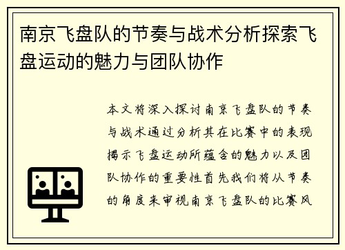南京飞盘队的节奏与战术分析探索飞盘运动的魅力与团队协作