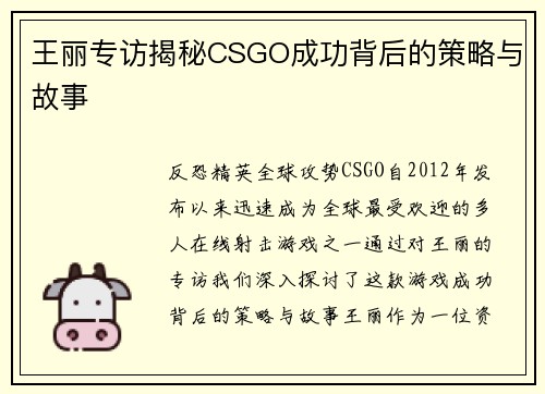 王丽专访揭秘CSGO成功背后的策略与故事